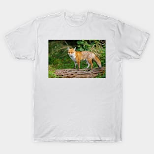 Fox Standing on Log T-Shirt